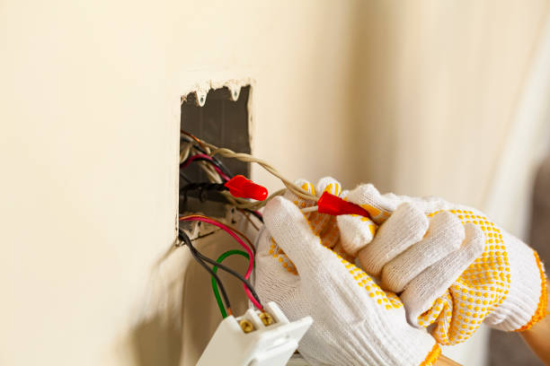 Best Electrical Remodeling Services  in Roseau, MN